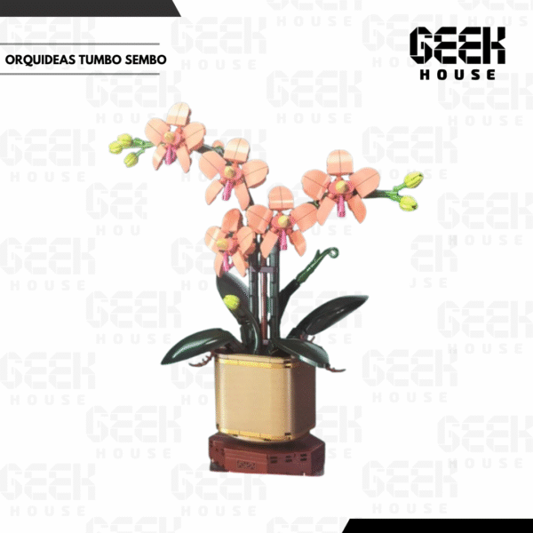 26_20251213_174159_0001