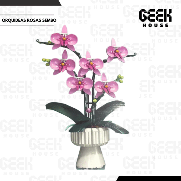 29_20251213_174159_0004