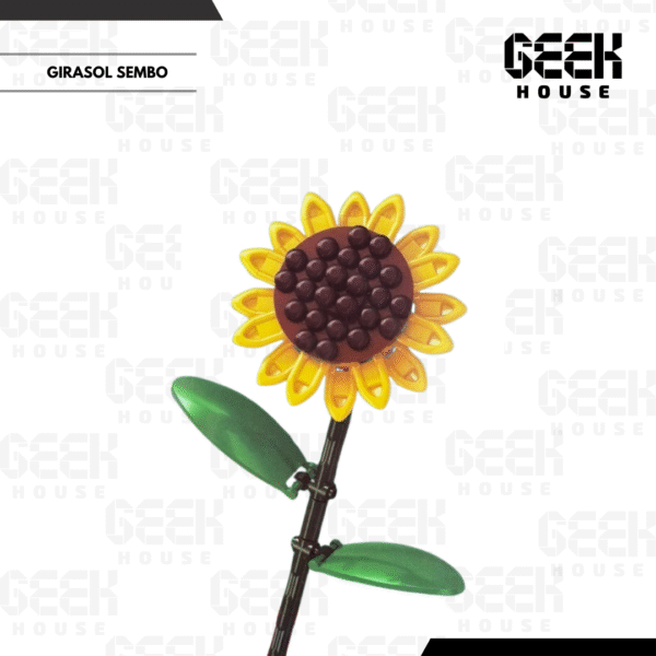 60_20251213_174450_0012