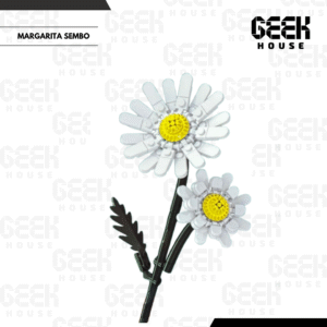 62_20251213_174450_0014