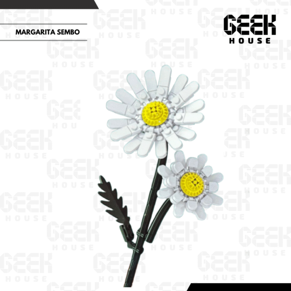 62_20251213_174450_0014