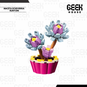 Legos noviembre 2025_20251221_154014_0000